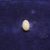 NATURAL & ORIGINAL OPAL 2.70-CARATS (S0270-A18)