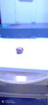 RUBY 4.65-CARATS (S0252-A17)