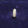 NATURAL & ORIGINAL OPAL 5.40-CARATS (S0268-A18)