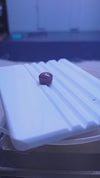 RUBY 4.65-CARATS (S0252-A17)
