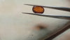 Hessonite garnet (GOMED - S0004-A1 ) - 6.30 Carats natural & authentic