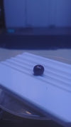 RUBY 5.25-CARATS (S0250-A17)