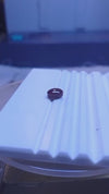 RUBY 2.85-CARATS (S0255-A17)