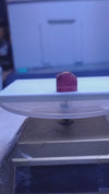 RUBY 10.10-CARATS (S0254-A17)