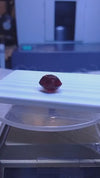 RUBY 16.06-CARATS (S0236-A17)