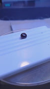 RUBY 3.1-CARATS (S0234-A17)